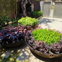Three large, rustic metal planters filled with contrasting foliage create a stunning and low-maintenance entryway feature.