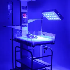 Our studio is equipped for specialized photoshoots, including technical medical equipment. This shot of a neonatal warmer with its phototherapy light activated demonstrates our ability to capture products in their functional state, highlighting key features for professional catalogs and websites.