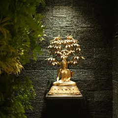 Here, a golden Buddha statue sits under a Bodhi tree, spotlit against a dark, textured wall. This creates a dramatic and contemplative focal point in a courtyard.