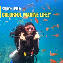 Ever wondered what it's like to breathe underwater? On our Netrani Island scuba trips, you can swim with vibrant schools of fish just like this. We provide full training with certified instructors, making it perfect for beginners.