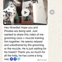 This WhatsApp message from Coco's mom made my day. After months of online muzzle training for his resource guarding, seeing him relaxed during grooming was a huge milestone that shows the power of patience and consistency.