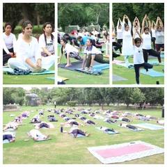 A collage showing the different aspects of our outdoor yoga event. From active asanas to collective relaxation in Savasana, we practice together under the open sky.