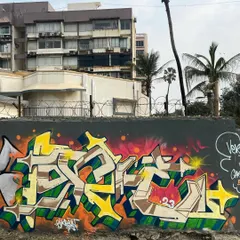 A "D क्रिप्ट" piece from a jam in Versova. I always plan to paint one thing and end up painting something else. The day just kept on giving, from losing a scooty to rapping on a beat.