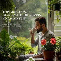 This monsoon, we encourage you to design with the season, not against it. Choosing smart, water loving plants for your indoor and outdoor spaces allows you to embrace the rain and enjoy a cup of tea surrounded by thriving greenery.
