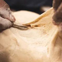 A close look at the structure of our sourdough. Those delicate, web-like strands are a sign of a well-developed dough, which will result in a light, airy crumb.