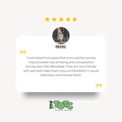 We're thrilled you had an amazing first visit, Remo! Providing friendly, comfortable, and affordable service is what we aim for every single day.