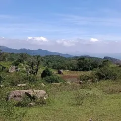 Another view of the scenic 20-acre site in Hosur. The natural landscape, including hills and slopes, is a critical part of my Vastu analysis for large-scale layout planning.