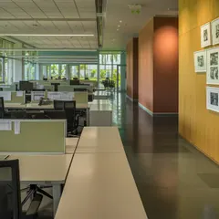 The open-plan workstation area at the JSW Vasind office, with expansive glass walls offering views of the surrounding greenery. This design ensures that employees are visually connected to nature throughout the day, enhancing well-being and productivity.