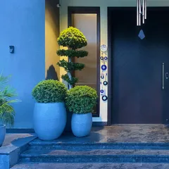 A close-up of the entrance to the Sultanpur farmhouse at night. The bonsai and topiary plants are beautifully illuminated, creating an elegant and dramatic welcome.
