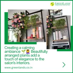 We created a calming ambiance in this salon with beautifully arranged plants and floral displays. Our "Plants on Hire & Maintenance" service is perfect for businesses like hotels, restaurants, and shops.