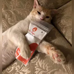 Find someone who holds you the way this kitty holds their favorite bag of Pet Chefin treats. This is pure, unadulterated love for single-ingredient, natural goodness.