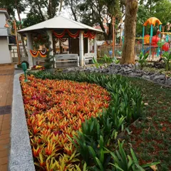 A public park garden bed filled with colorful Bromeliads and other tropical plants next to a gazebo. I use mass planting techniques to create a high impact visual effect.