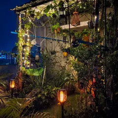 The garden's personality changes after sunset. I love using sustainable garden solutions like these solar-powered torch lights to add a warm, flickering ambiance that makes the evenings feel truly special.