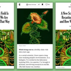 A mockup of the spot illustration as it appeared within the body of the New York Times article online.