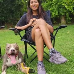 A happy, relaxed Pitbull after a good training and play session. My goal is to leave every dog feeling content and fulfilled.