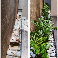 A narrow indoor passage, possibly near a bathroom, is cleaned up and decorated with a row of ZZ plants, which are excellent low-light, air-purifying plants.