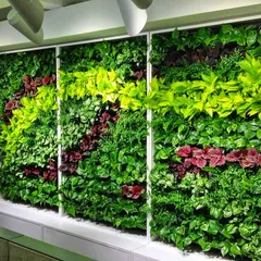 This indoor vertical garden serves as a living art installation. We designed this multi-panel green wall with a diverse palette of plants, including various shades of green and pops of red, to create texture and visual interest in a corporate or residential lobby.