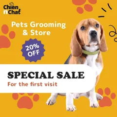 We love first-time visitors. Check out our special sale for your pet's first grooming session with us.