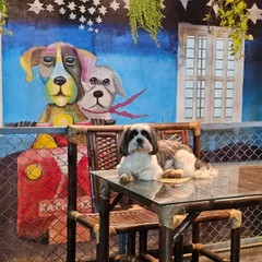 A Shih Tzu poses perfectly in front of one of our vibrant, dog-themed murals, showcasing the artistic and fun vibe of our park.
