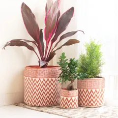 My planter baskets are available in different sizes, so you can create a cohesive look by grouping them together. Here, a set of three in a rust chevron print houses plants of various sizes.