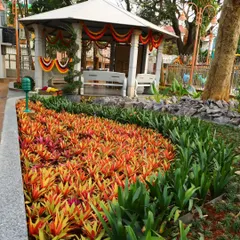 A slightly different angle of the park's garden bed, showing the density of the Bromeliad planting. Keeping these beds free of weeds and pests is a core part of my service.