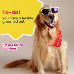 And just like that, you have a happy and freshly groomed pet! Our goal is to make your pet look and feel fantastic without any of the usual hassle.