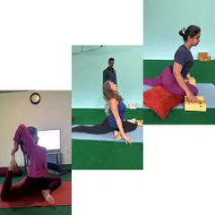 This collage perfectly illustrates why an individualized approach is so important. Each person is performing a backbend, yet their expression of the pose is different due to unique body structures. My role is to guide each person to find their own best alignment.