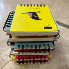 A stack of my pocket-sized notepads. With their colorful, animal-themed alphabet covers, they are easy to carry around for quick notes.