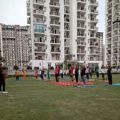 Guiding the group through a standing backbend during our outdoor yoga celebration. The collective energy of practicing together under the open sky is truly special.