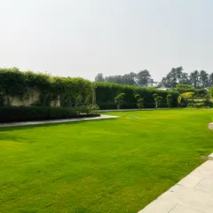 A pristine, expansive lawn is the heart of this Sultanpur farmhouse landscape. I use high-quality turf and expert maintenance techniques to create large, open green spaces perfect for events, recreation, or simply enjoying the view.
