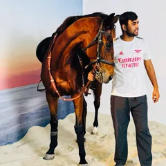 A full profile of Candy, showcasing her strong build and excellent condition. We take immense pride in the health and well-being of our equine athletes.