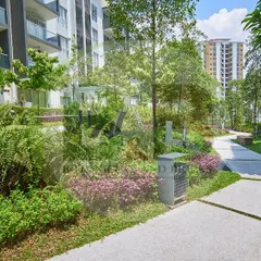 A lush, green walkway in a residential community. This landscape features dense, layered plantings with a variety of textures and colors, creating a natural and immersive environment for residents.