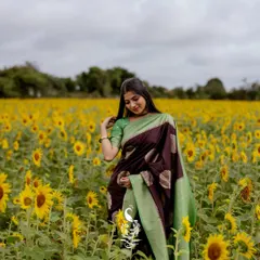There is a simple joy in being surrounded by nature. This shot, taken in a field of sunflowers, showcases a beautiful brown and light green saree, capturing a feeling of happiness and connection to the earth.