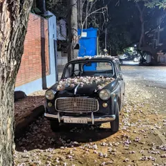 We stumbled upon this vintage Fiat 1100 Super Select, beautifully decorated by fallen flowers. Finding these pretty old cars is one of the many joys of our midnight explorations in Indiranagar.