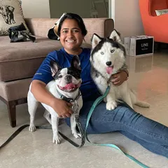 Hello Motherpuppers! A happy French Bulldog and a stunning Husky, two very different breeds with unique training needs, sitting calmly together. It's a joy to work with such diverse personalities.