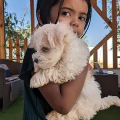 The gentle and trusting way this little girl is holding a fluffy puppy says it all. We provide a safe space for kids and pets to interact.