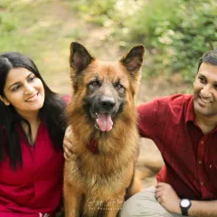 A beautiful family portrait in a sunlit forest, with a German Shepherd sitting proudly between his smiling parents.