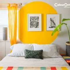 We offer affordable flat painting packages to make your home transformation easy and budget-friendly. Our packages for 1, 2, and 3 BHK homes come with a 2-year service warranty for your peace of mind.