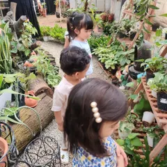 I explore, I learn. We believe the world is the best classroom. Our playgroup children are on a field trip to a local nursery, using all their senses to explore the vibrant flora and learn about nature firsthand.