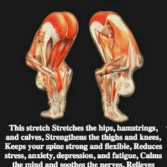 Understand the anatomy behind the practice. This graphic shows the muscles engaged in Uttanasana (Standing Forward Bend), a pose that stretches the entire back of the body and calms the mind.