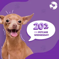 This happy pup is excited about Petcare Wednesday. Bring your pet in for any grooming service and receive a 20% discount.