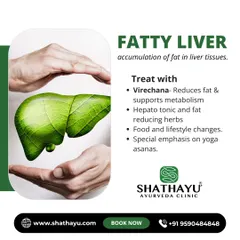 A fatty liver indicates a deeper metabolic imbalance. I treat this condition with a structured approach that includes Virechana detox to reduce fat, hepato tonic herbs to support the liver, and specific lifestyle changes.