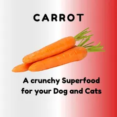 Carrots are another key vegetable in my kitchen. They are a great source of Vitamin A for eye health, act as a natural toothbrush with their crunch, and provide fiber for good digestion.
