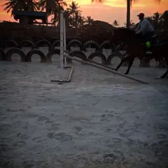A rider and horse clear a jump against the beautiful sunset backdrop. Our arena is set up for show jumping practice for riders of various skill levels.
