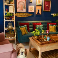 Don't be afraid of a little color. This bold blue wall in my living room comes alive with a gallery of art and, of course, lots of plants. I love styling spaces that reflect your personality, creating a home that is uniquely yours.