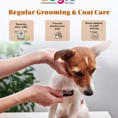 Regular grooming and coat care are extra important during the monsoon. Remember to towel-dry after walks, trim hair between paw pads to prevent infections, and brush regularly to avoid matting.