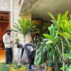 My team and I working on a large residential project. We handle everything from bringing in the plants to the final placement and cleanup.