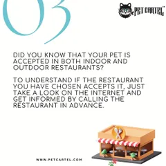 Dining out with your pet requires a little planning. Many restaurants now welcome pets in both indoor and outdoor areas, but it's always best to call ahead and confirm their policy before you visit.