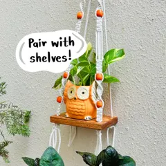 Our mini ceramic owl planters are on a 'Buy 2 Get 2 Free' sale. Just add any four planters to your cart and use the code OWL4 to pay for only two. They are perfect for tabletops or pairing with our macrame hangers.