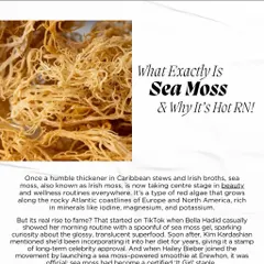 I was happy to share my thoughts with Elle Gourmet on the sea moss trend. This ocean superfood is rich in minerals and antioxidants that can support gut health and promote a natural glow from within.